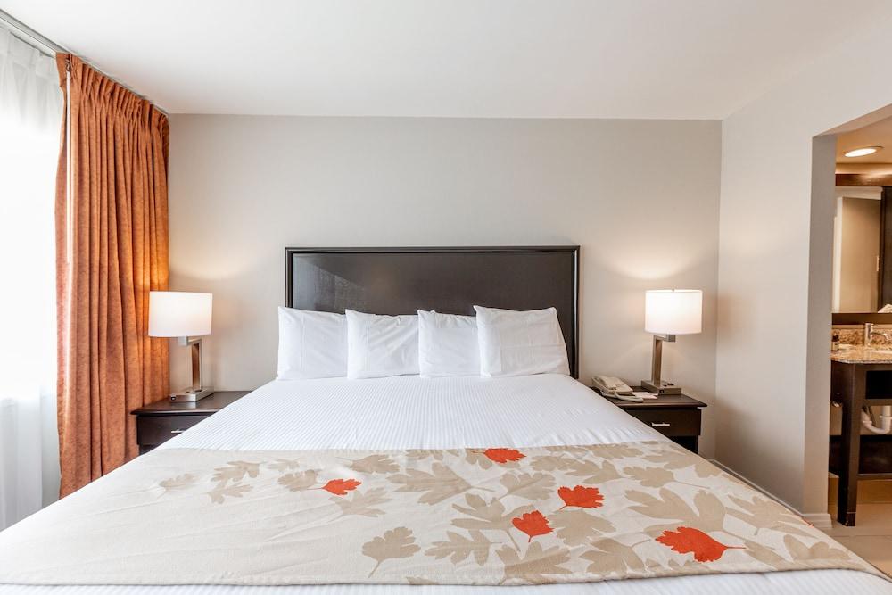 Value Suites Extended Stay - Arlington Dış mekan fotoğraf